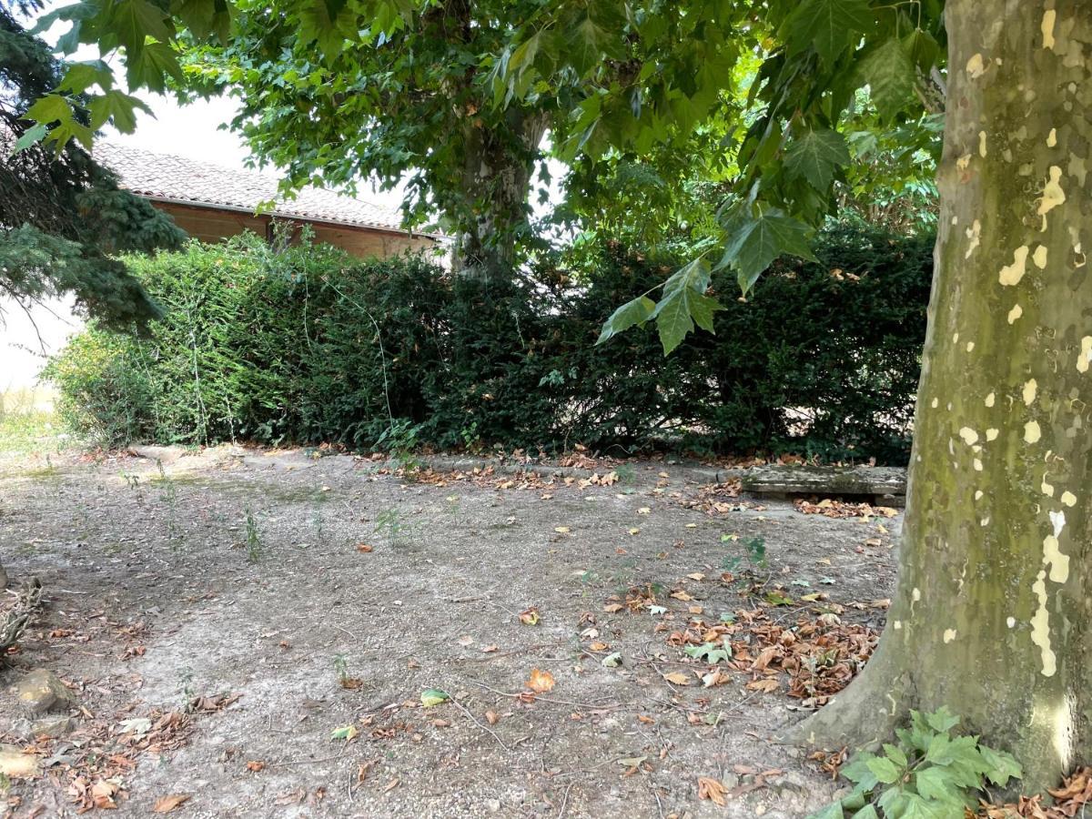 Le Clos Des Cadots - Chambre Chaintré Eksteriør billede